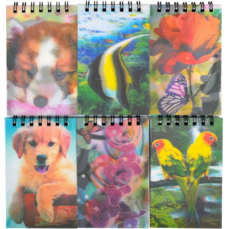 Блокнот А8 голограма, 60 аркушів, 4-98 клітинка на спіралі 4-98 KNZ