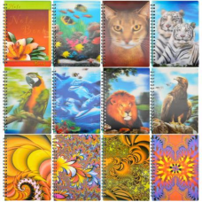 Блокнот А4 голограмма, 80 аркушів, клітинка на спіралі KNZ