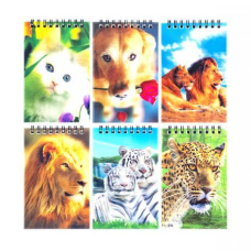 Блокнот А7 голограмма, 60 аркушів, клітинка на спіралі KNZ