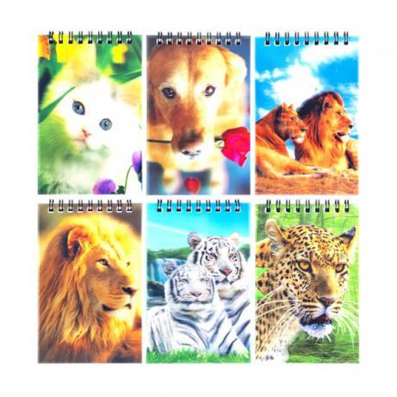 Блокнот А7 голограмма, 60 аркушів, клітинка на спіралі KNZ Блокнот А7 голограмма, 60 аркушів, клітинка на спіралі KNZ