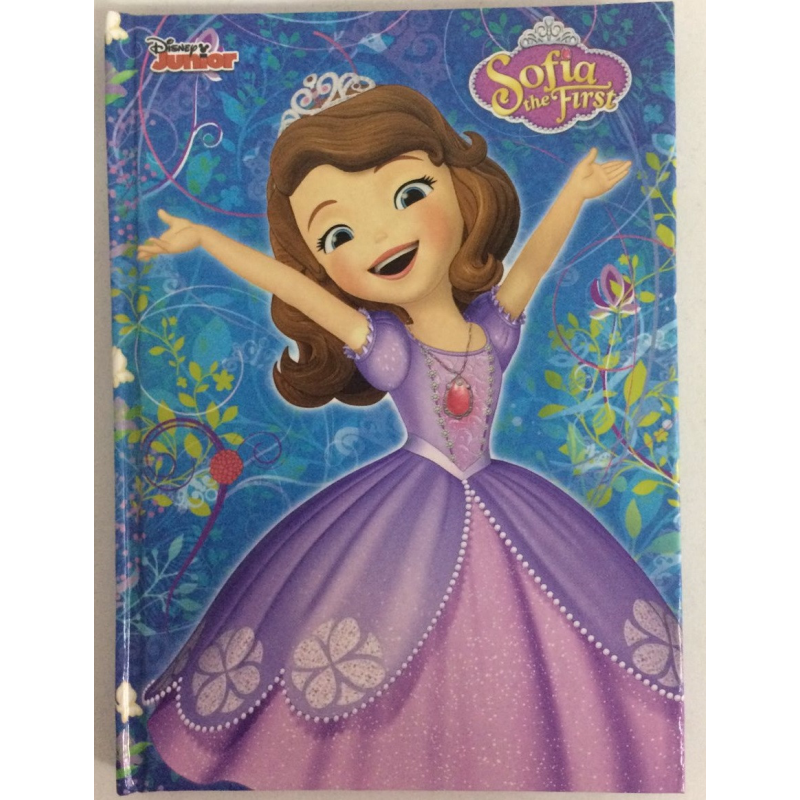 Блокнот для нотаток А6, тверда обкладинка, 48 листів офсет, клітинка, “Софія прекрасна“ 20(шт), Ц631025У KNZ