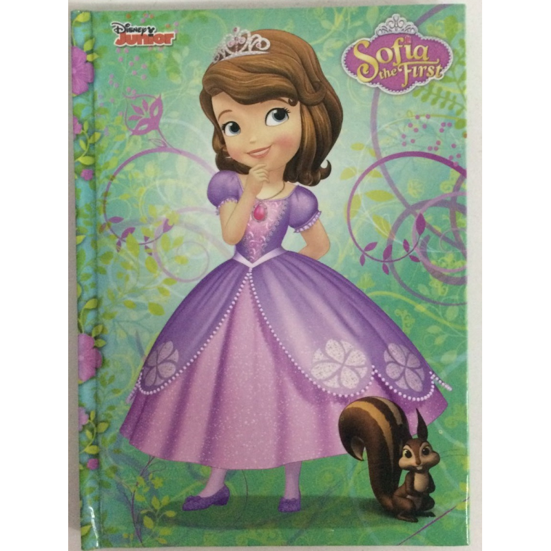 Блокнот для нотаток А6, тверда обкладинка, 48 листів офсет, клітинка, “Софія з друзями“ 20(шт), Ц631025У KNZ