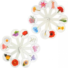 Віяло “Квіти“ KNZ