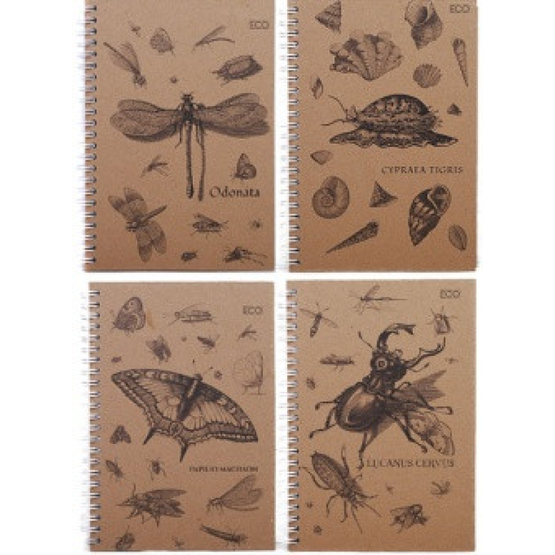 Блокнот для нотаток «Insects», бічна пружина, А5, 50 аркушів, Еко папір, клітинка, тверда обкладинка БН-030-МВ KNZ