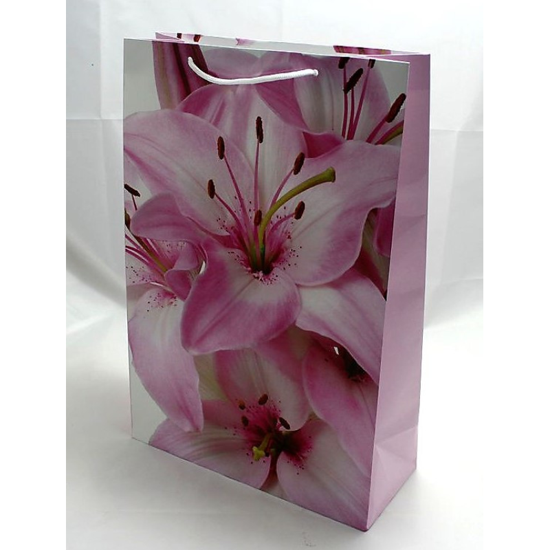 Подарункові пакети для жінок PVM304712W KNZ