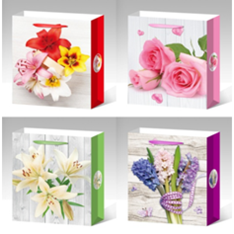Пакет подарунковий, “Квіти“, 4 дизайни, 210 г, 31x40x12см, DV-2106 L KNZ Пакет подарунковий, “Квіти“, 4 дизайни, 210 г, 31x40x12см, DV-2106 L KNZ