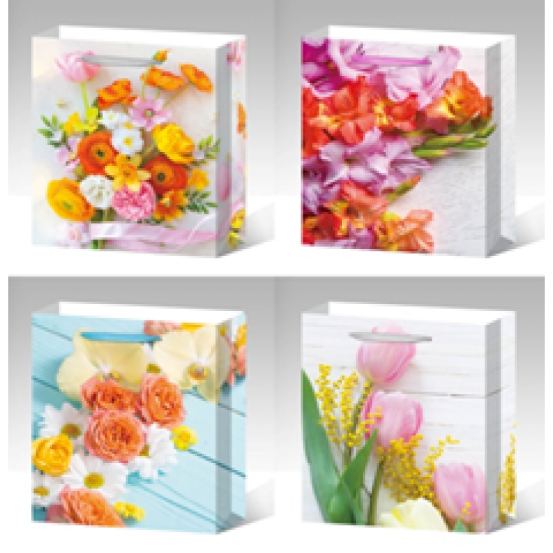 Пакет подарунковий, “Квіти“, 4 дизайни, 210 г, 26x32x10см, DV-2109 М KNZ Пакет подарунковий, “Квіти“, 4 дизайни, 210 г, 26x32x10см, DV-2109 М KNZ