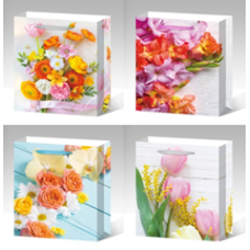 Пакет подарунковий, “Квіти“, 4 дизайни, 210 г, 31x40x12см, DV-2109 L KNZ