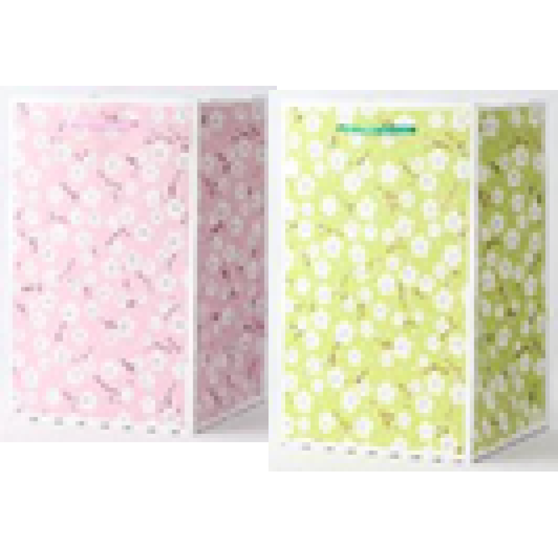 Пакети 26x38x21см подарункові, Unison, YV 8011-QM KNZ