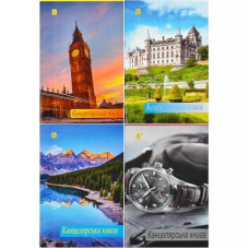 Книга канцелярська А4 96 аркушів, офсет KNZ