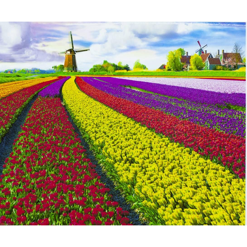 Картина за номерами “Поля квітів“ 40*50 см, фарби -акрил, кисть — 3 шт 8392RSB_B KNZ