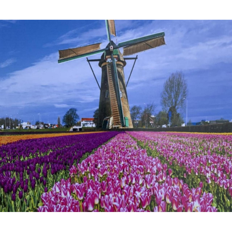 Картина за номерами “Мельниця“ 40*50 см, фарби -акрил, Пензлик-3ш 5730Y_B KNZ