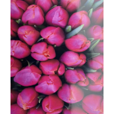 Картина за номерами 30*40 см “Фіолетові тюльпани“ OPP (холод на рамі ффарби, пензлі) 1023EKTL_O KNZ