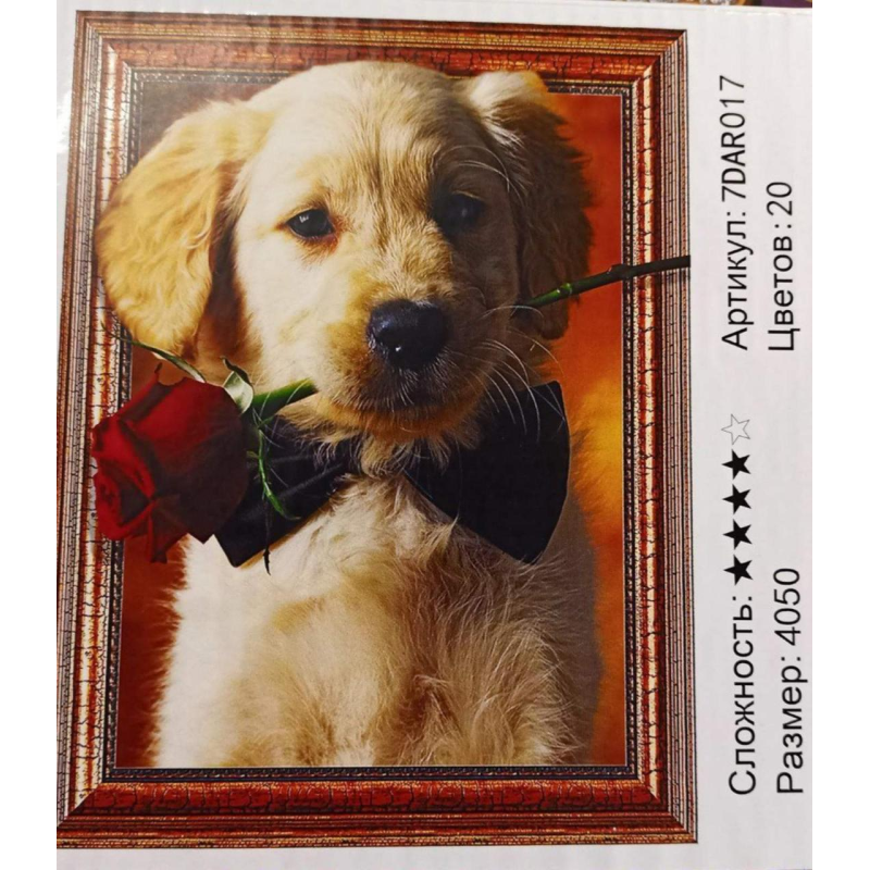 Алмазна мозаїка 5D за номерами 40*50 см “Цуценя з трояндою“ карт уп (Полотно на раме камни) 7DAR017 KNZ Алмазна мозаїка 5D за номерами 40*50 см “Цуценя з трояндою“ карт уп (Полотно на раме камни) 7DAR017 KNZ