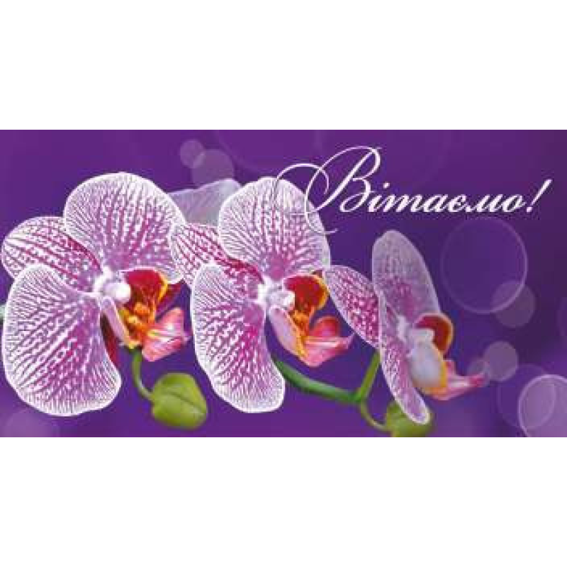 Конверт для грошей “Вітаємо“ KNZ Конверт для грошей “Вітаємо“ KNZ