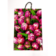 Подарункові пакети для жінок PVM304712W KNZ