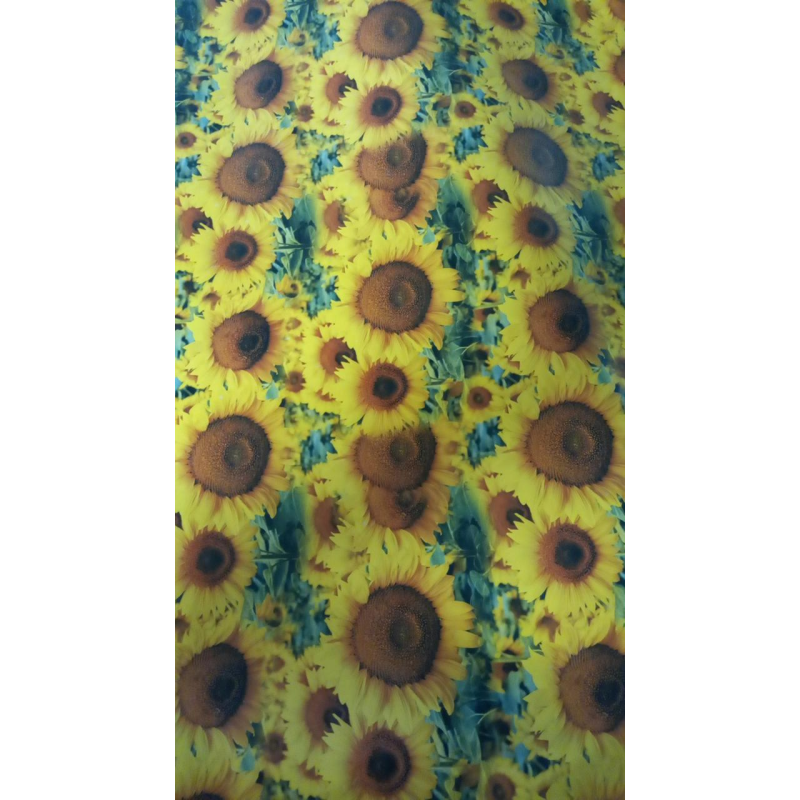 Крейдяний папір — соняшники, PVM10-247 KNZ