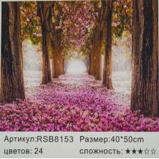 Картина за номерами “Рожева алея“ 40 * 50см, фарби-акрил, кисть-3шт 8153RSB_B KNZ