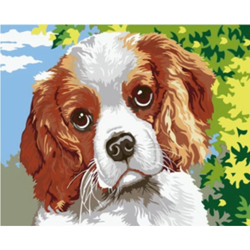 Картина за номерами “Спаніель“ 40*50см 1862 KNZ