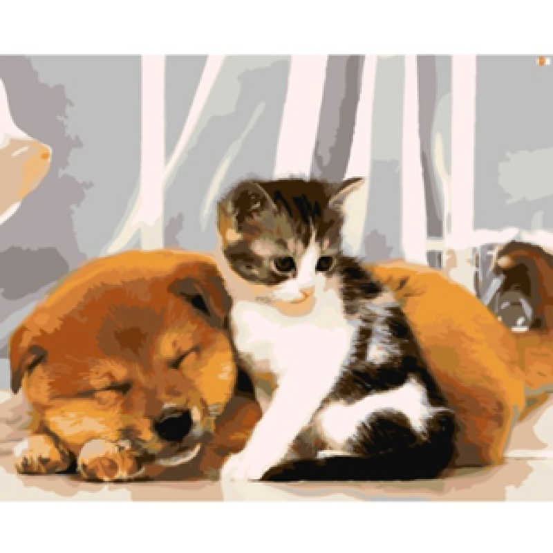 Картина за номерами “Друзі“ 40*50см 30679 KNZ