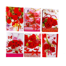 Пакет подарунковий 18,2 х 21,5 х 8см (12шт/уп) C182108 KNZ