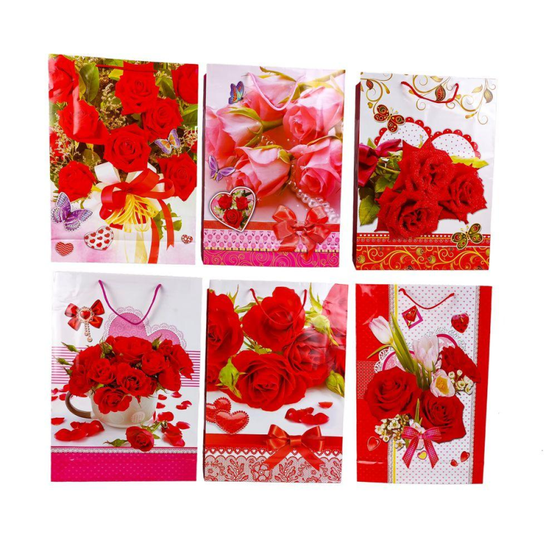 Пакет подарунковий 18,2 х 21,5 х 8см (12шт/уп) C182108 KNZ