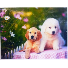 Алмазна мозаїка 30 х 40см “Цуценята“ рулон в PVC (без підрамника) 60419_O GLD KNZ