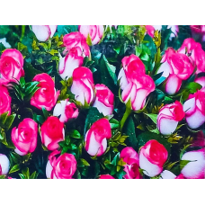 Алмазна мозаїка 30 х 40см “Троянди“ рулон в PVC (без підрамника) 60423_O GLD KNZ