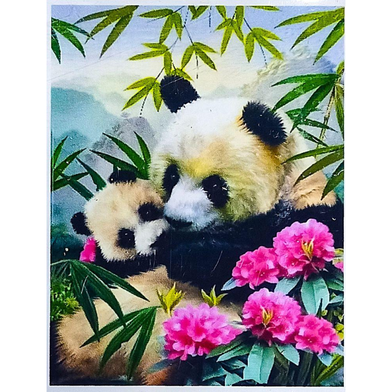 Алмазна мозаїка 30 х 40см “Панди“ рулон в PVC (без підрамника) 60125_O GLD KNZ Алмазна мозаїка 30 х 40см “Панди“ рулон в PVC (без підрамника) 60125_O GLD KNZ