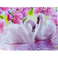 Алмазна мозаїка 30 х 40см “Лебеді“ рулон у PVC (без підрамника) 61314_O GLD KNZ