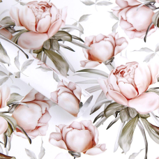 Папір для пакування подарунків 10 аркушів - 100 х 70см 50г PCZ10070-10-515 KNZ