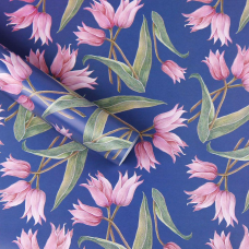 Папір для пакування подарунків 10 аркушів - 100 х 70см 50г PCZ10070-10-519 KNZ