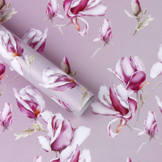 Папір для пакування подарунків 10 аркушів - 100 х 70см 50г PCZ10070-10-525 KNZ