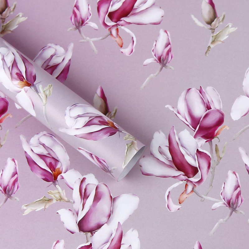 Папір для пакування подарунків 10 аркушів - 100 х 70см 50г PCZ10070-10-525 KNZ