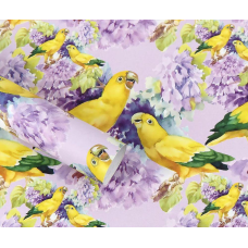 Папір для пакування подарунків 10 аркушів 100 х 70 см 50 г Unison PCZ10070-10-543 KNZ