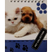 Блокнот біле тло, А6 верхня пружина, 50 аркушів офсет, клітинка “Pet Collection“, обкладинка м“яка 139001 KNZ Блокнот біле тло, А6 верхня пружина, 50 аркушів офсет, клітинка “Pet Collection“, обкладинка м“яка 139001 KNZ