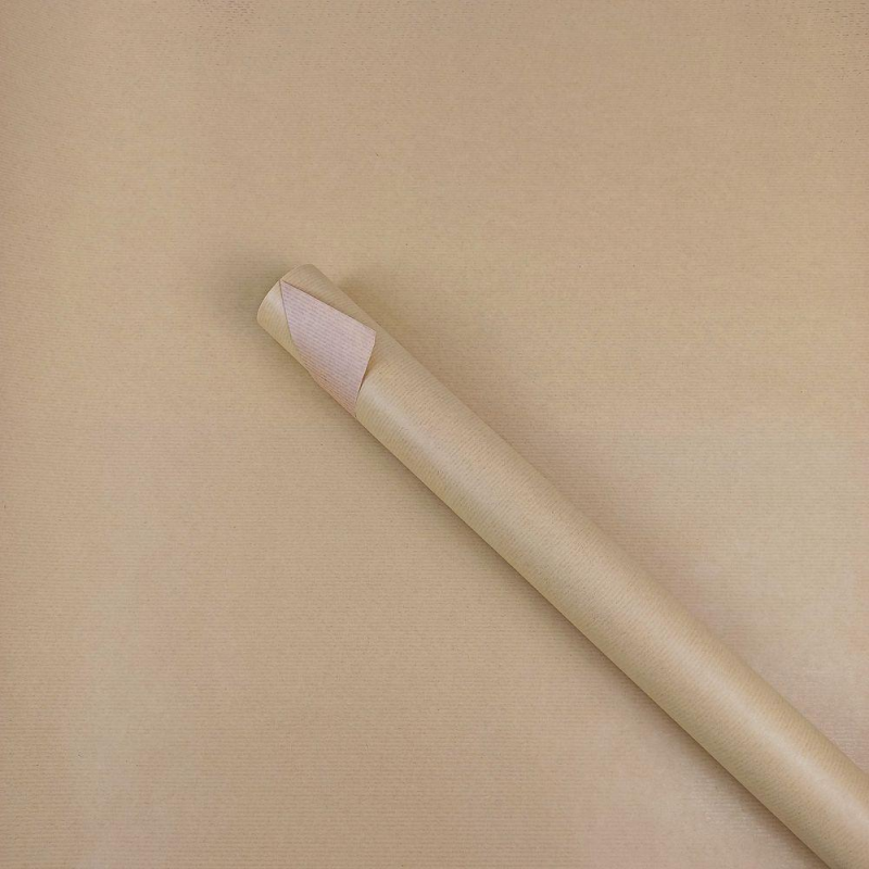 Папір пакувальний крафт-двосторонній 0,7 х 7м Пт 475.43 KNZ