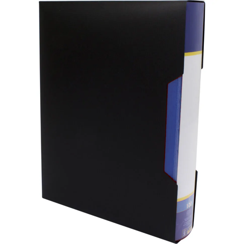 Папка зі 100 файлами в коробці синя 30610-02 KNZ