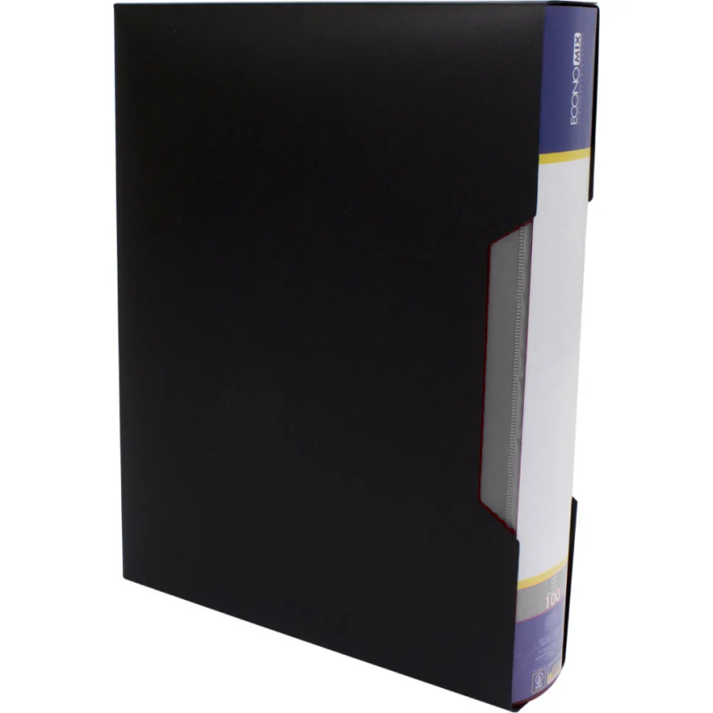 Папка зі 100 файлами в коробці сіра 30610-05 KNZ