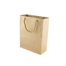 Пакет подарунковий крафт 230г 24,5х19х8см 12шт/уп Бежевий Unison 12386-1-3 KNZ