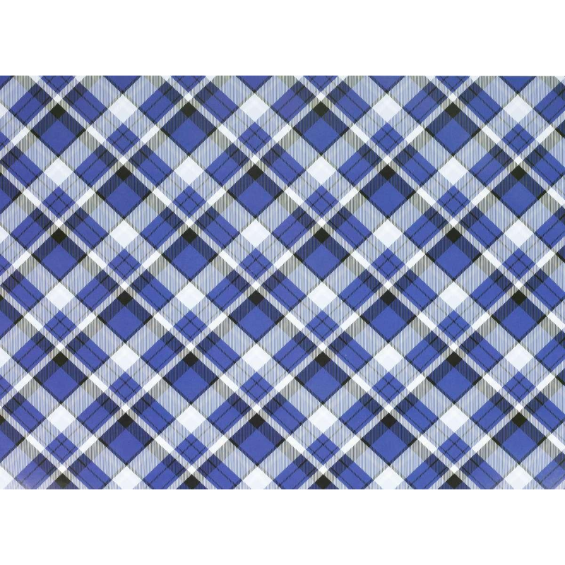 Папір пакувальний крейдований 80г 10 аркушів - 100 х 70см Синій Unison PVM10-103 KNZ Папір пакувальний крейдований 80г 10 аркушів - 100 х 70см Синій Unison PVM10-103 KNZ