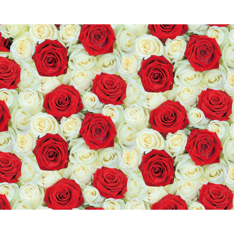 Крейдований папір - троянди Unison PVM10-118 KNZ