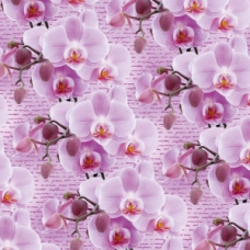 Папір пакувальний крейдований 80г 10 аркушів - 100 х 70см Рожевий Unison PVM10-264 KNZ