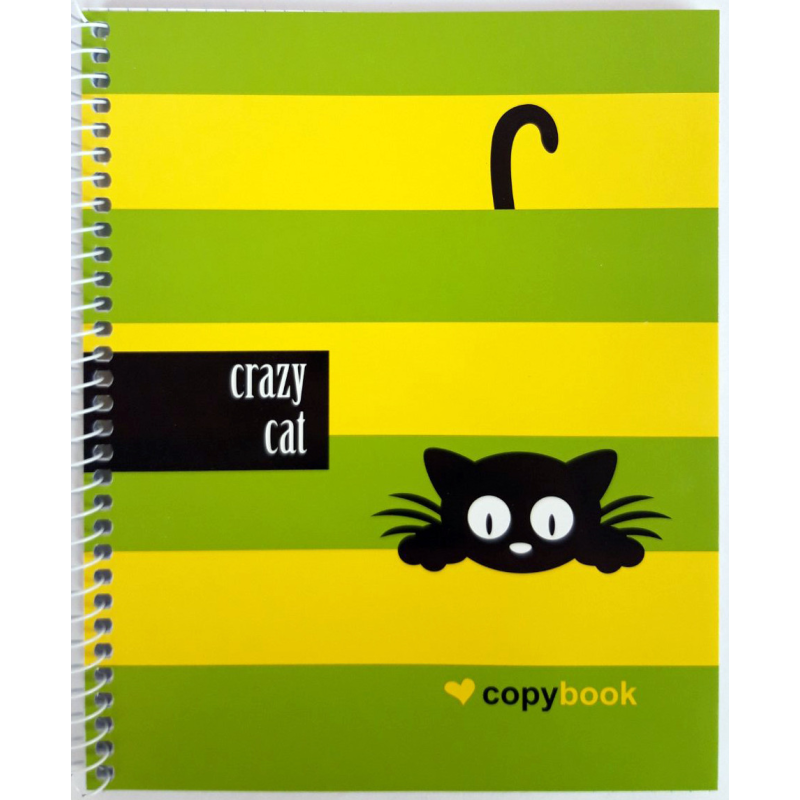 Блокнот для нотаток В5, бічна пружина, 60 листів офсет, клітка “Серія Crazy cat“, обкладинка м“яка Ц355035У KNZ