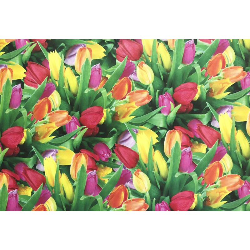 Папір пакувальний крейдований 80г 10 аркушів - 100 х 70см Unison PVM10-49 KNZ Папір пакувальний крейдований 80г 10 аркушів - 100 х 70см Unison PVM10-49 KNZ