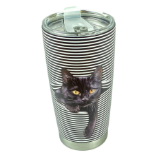 Термосклянка металева 590 мл “Кіт-3D“ з кришкою (590-1) KNZ