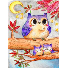 Картина за номерами “Мультяшна сова“ 40*50 см, фарби-акрил, кисть-3шт (RA30336) KNZ