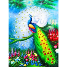 Картина за номерами “Павинди“ 40*50 см, фарби-акрил, кисть — 3 шт Різнобарвний Unison (RA3750) KNZ