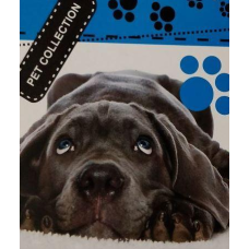 Блокнот біле тло, А6 верхня пружина, 50 аркушів офсет, клітинка “Pet Collection“, обкладинка м“яка 139001 KNZ