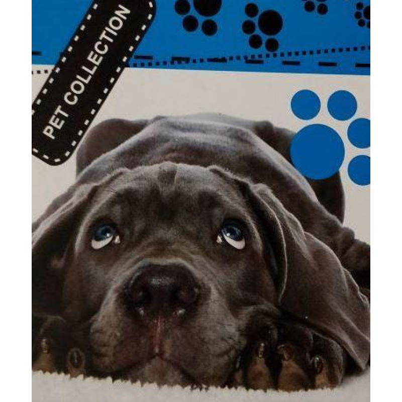 Блокнот біле тло, А6 верхня пружина, 50 аркушів офсет, клітинка “Pet Collection“, обкладинка м“яка 139001 KNZ Блокнот біле тло, А6 верхня пружина, 50 аркушів офсет, клітинка “Pet Collection“, обкладинка м“яка 139001 KNZ